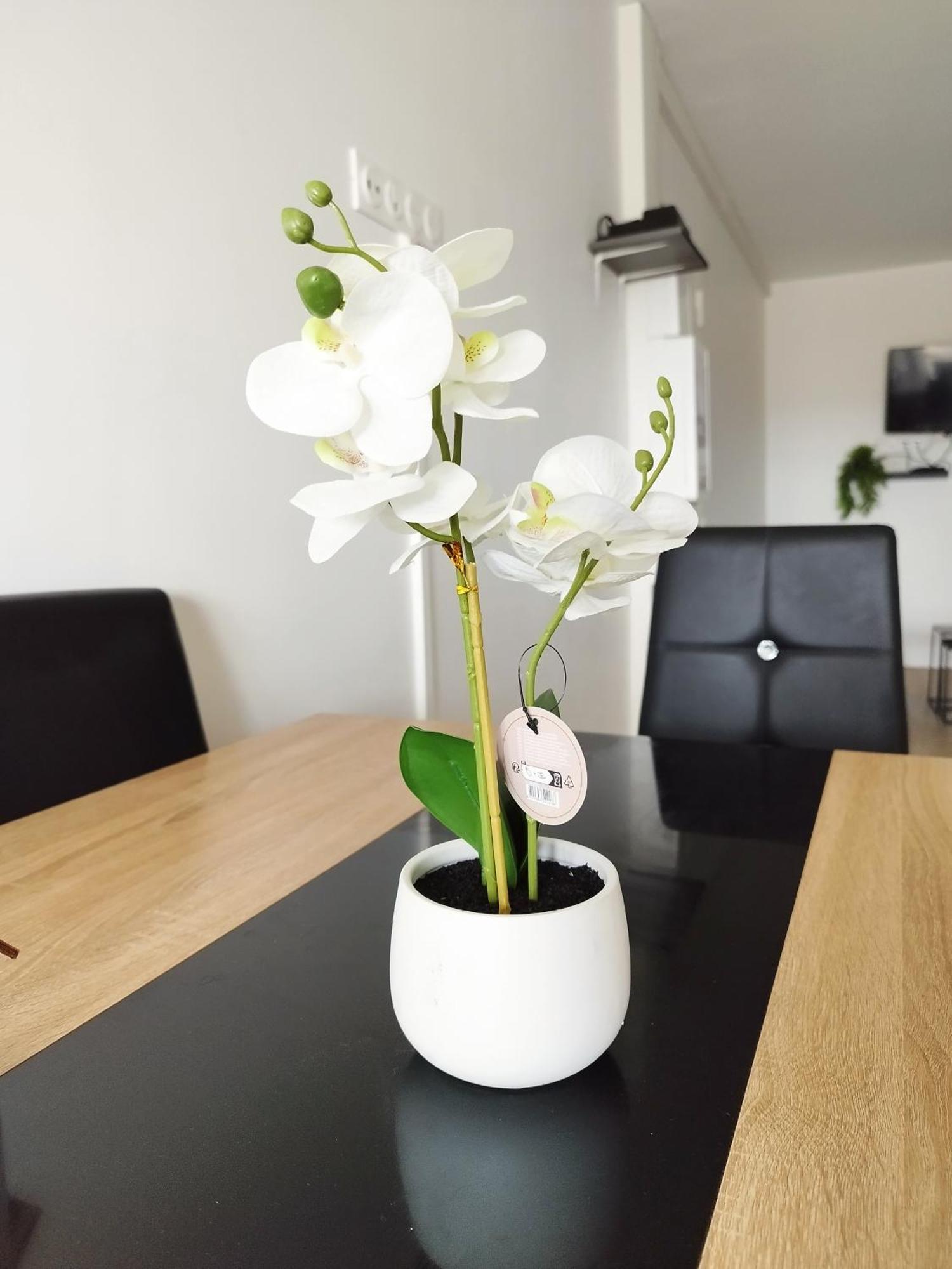 Parisian Cosy Flat With Balcony Apartment Argenteuil Bagian luar foto
